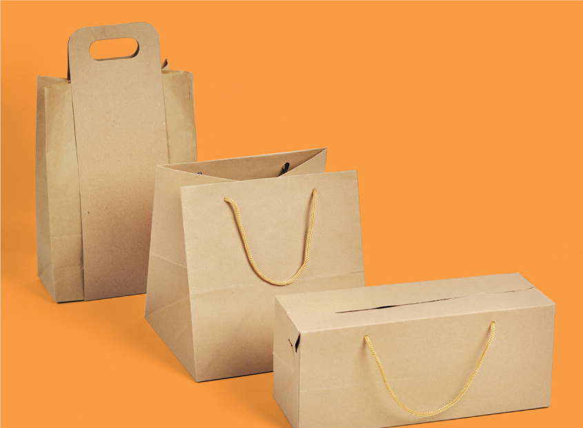 Paper Bag